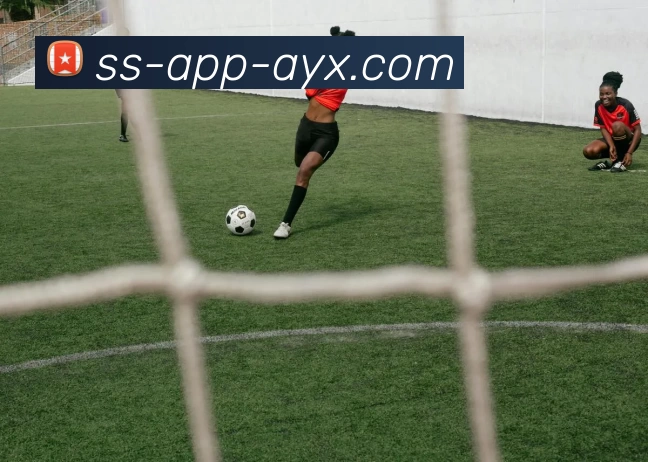 爱游戏AYX平台生态图