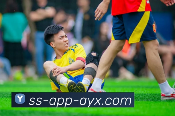 爱游戏AYXAPP 封面图